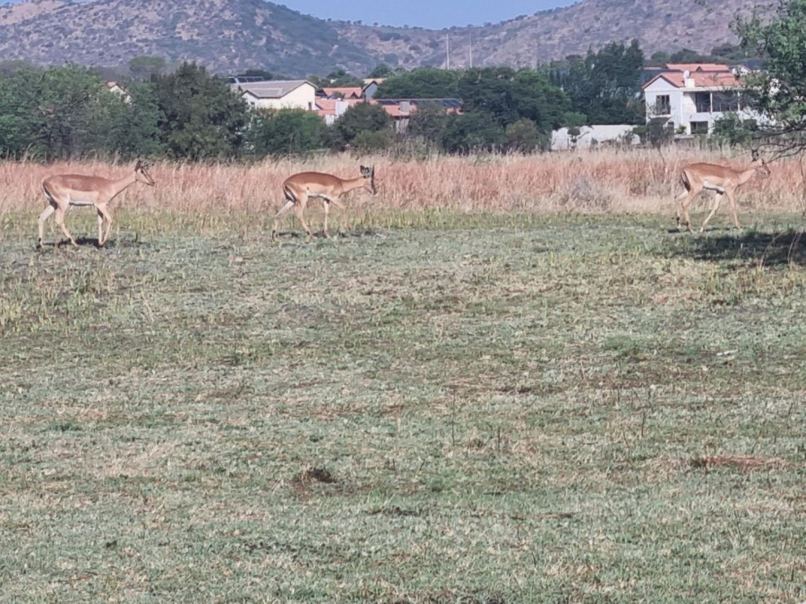 Commercial Property for Sale in La Camargue Private Country Estate North West